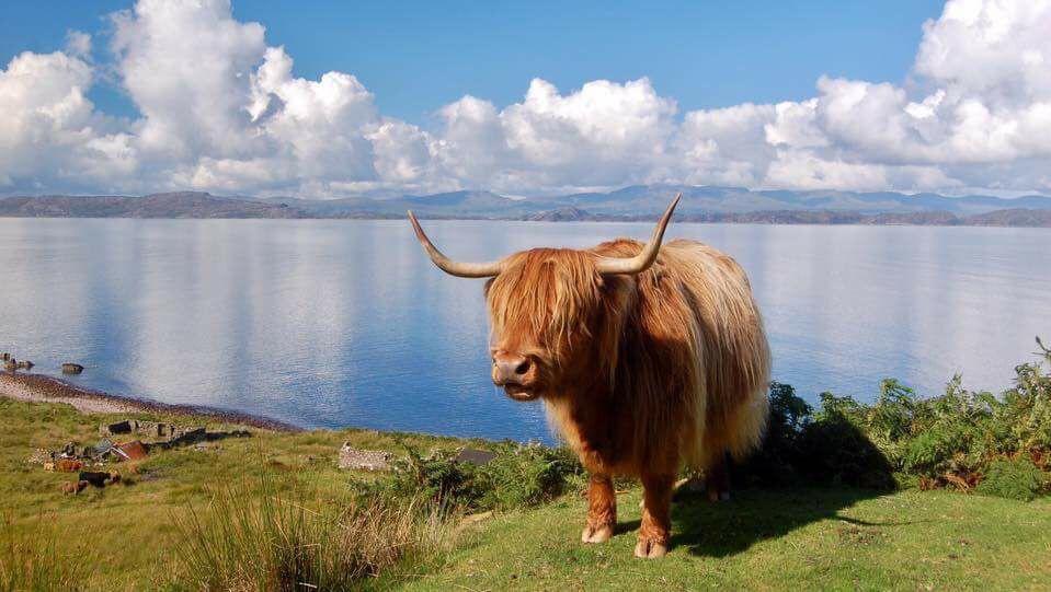 Kinnoch Lodge Inverness Esterno foto